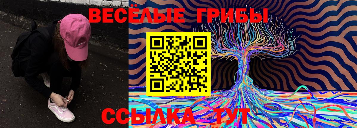 Галлюциногенные грибы Psilocybine cubensis Новокубанск